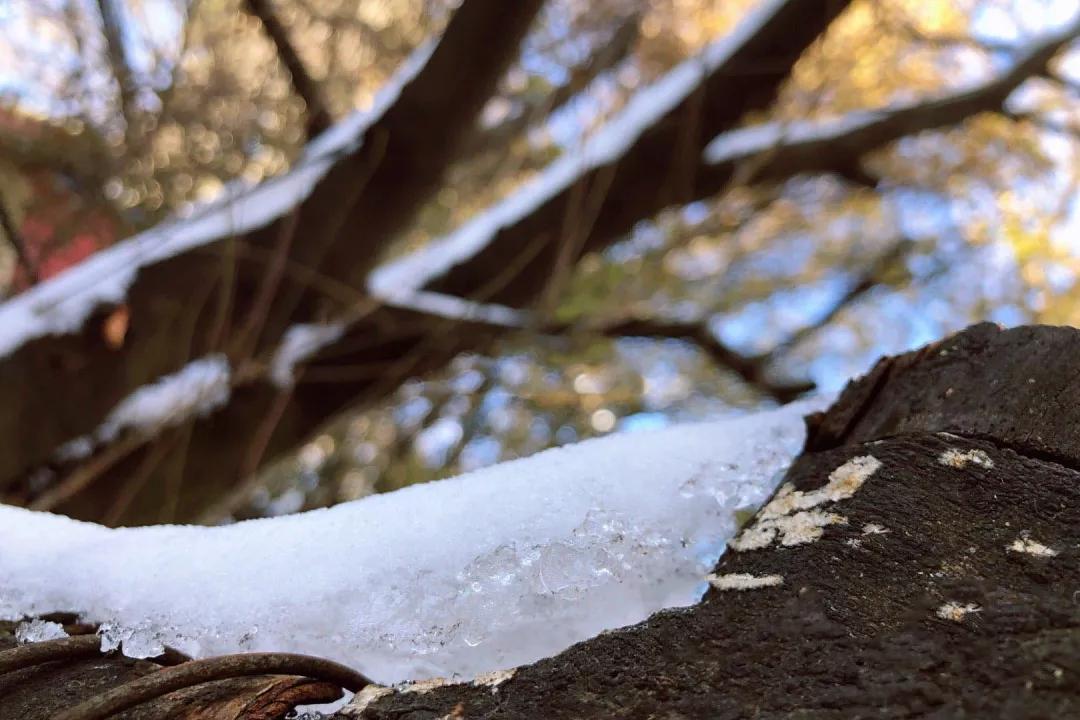 你对花岗岩了解多少,西岳华山从哪些方面介绍华山