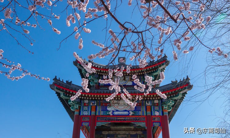 2021年文字祝福,2020年祝福合集