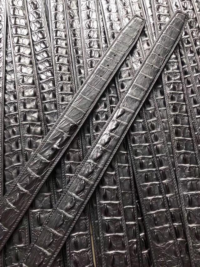 真正的鳄鱼多少钱,超吓人的鳄鱼