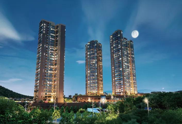 华为与龙华,霸气华为