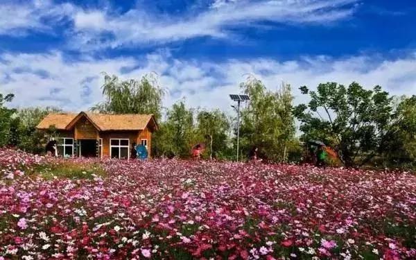 西昌邛海湿地公园旅游线路,西昌邛海湿地属于哪个省