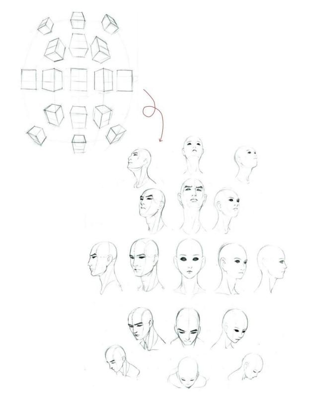 零基础人物脸的画法,人体五官细节该怎么画