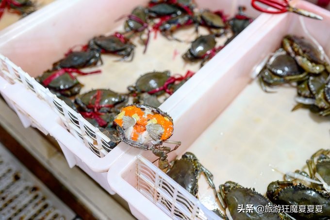 三亚亚龙湾热带雨林美景,在三亚感受亚龙湾的惬意