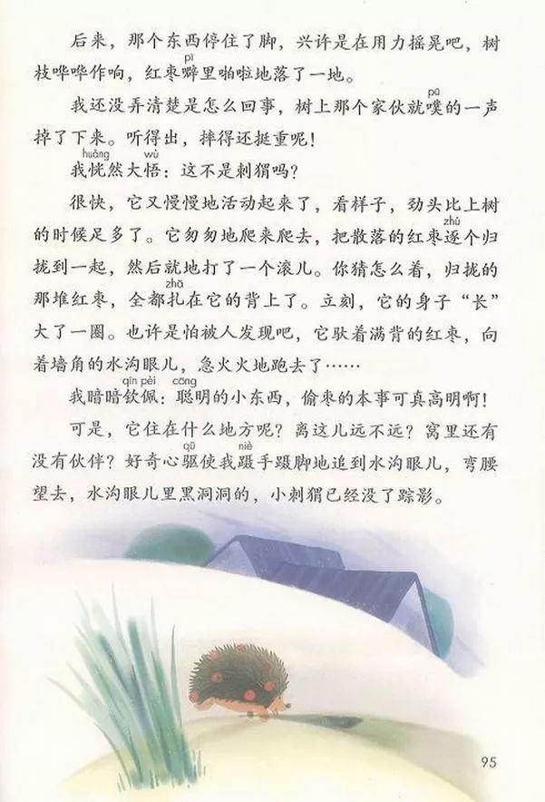 带刺的朋友课文小刺猬偷枣的过程,带刺的朋友小刺猬偷枣的故事