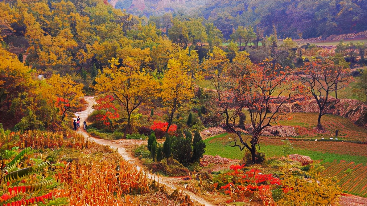 淄博是世界足球的起源地,临淄世界足球起源地