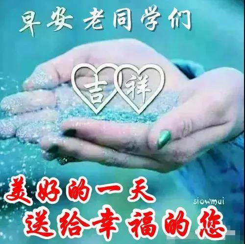 美女游戏里的表情包,美女游戏表情包