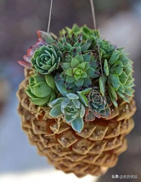 超简易手工环创,树干手工制作环创