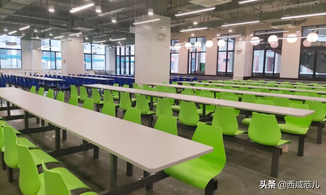 喜讯|新增学位14760个！沣西、能金区共10所新建学校，全部投运