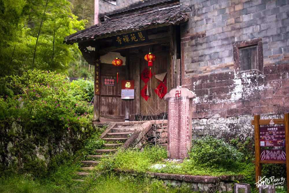 每克卖一万，这几株岩壁上的大红袍茶树，堪称武夷山的镇山之宝