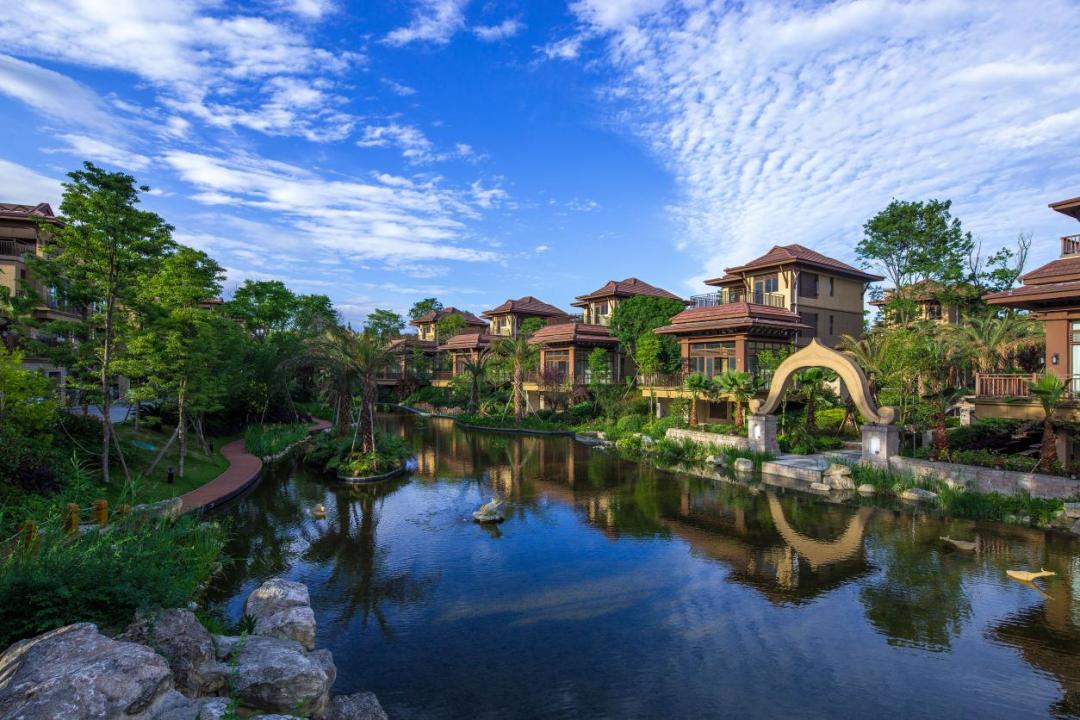 城市观察合肥,城市观察城市生活