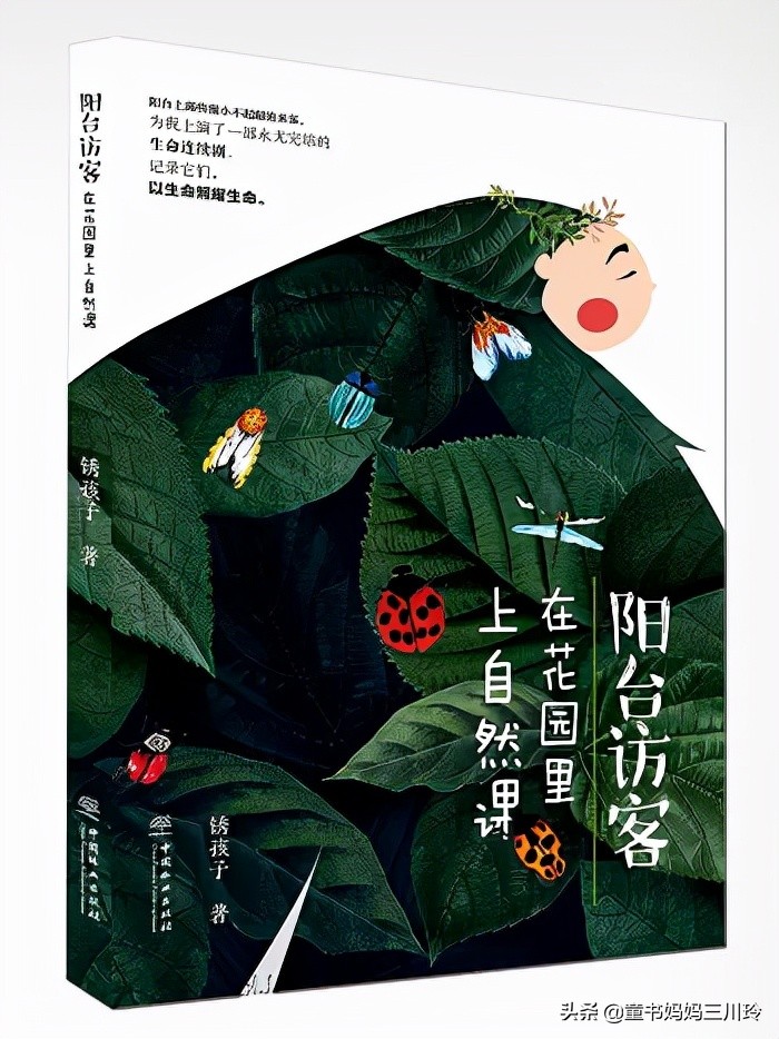 励志越挫越勇书单,培养孩子的抗挫品格