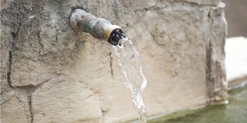 长期给植物浇自来水,植物盆土有水碱怎么办