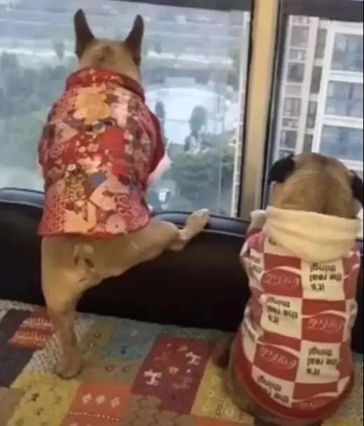 再也不想休假啦！长期隔离，宅家无聊焦躁，教你3招，实用又贴心