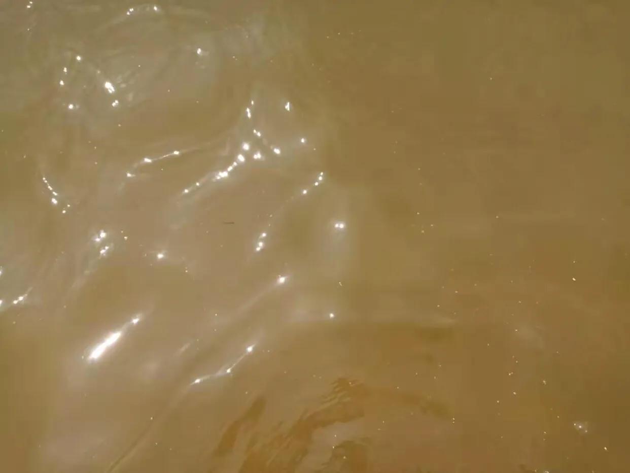 华润小径湾海滩,华润小径湾海边退潮时间