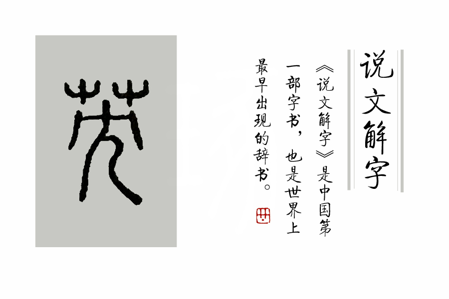 菊花在古代被古人称为什么之一,古代菊花的别称是什么