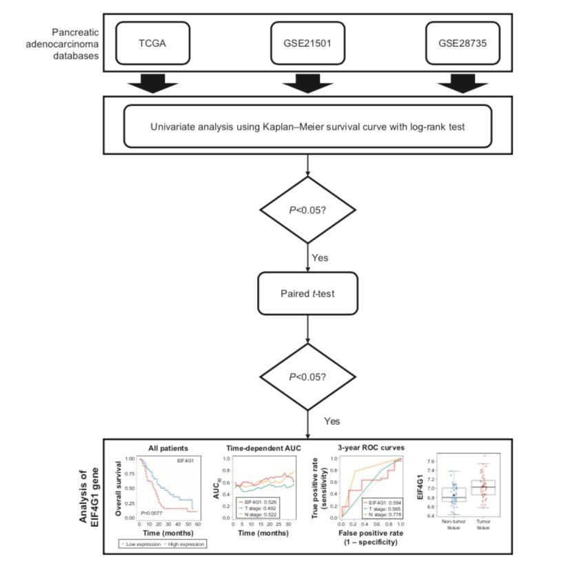博士毕业神器3+分纯生信杂志：平均一审只要一个月，年刊量1000+