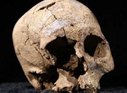 秦始皇帝陵陪葬墓新发现,秦始皇帝陵新发现将军俑