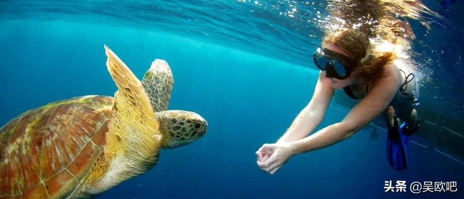 蜜月潜水看海推荐,全球最适合蜜月旅游的海岛
