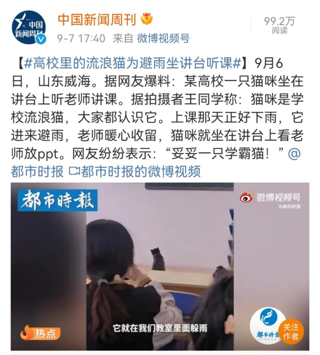 在宿舍养猫很后悔,为什么不能在宿舍养猫