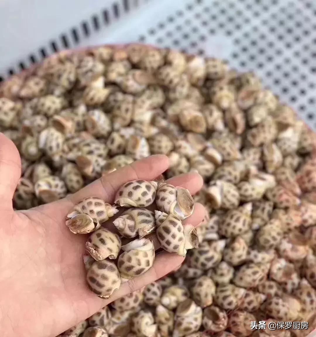 海鲜大荟萃,常见贝壳类海鲜