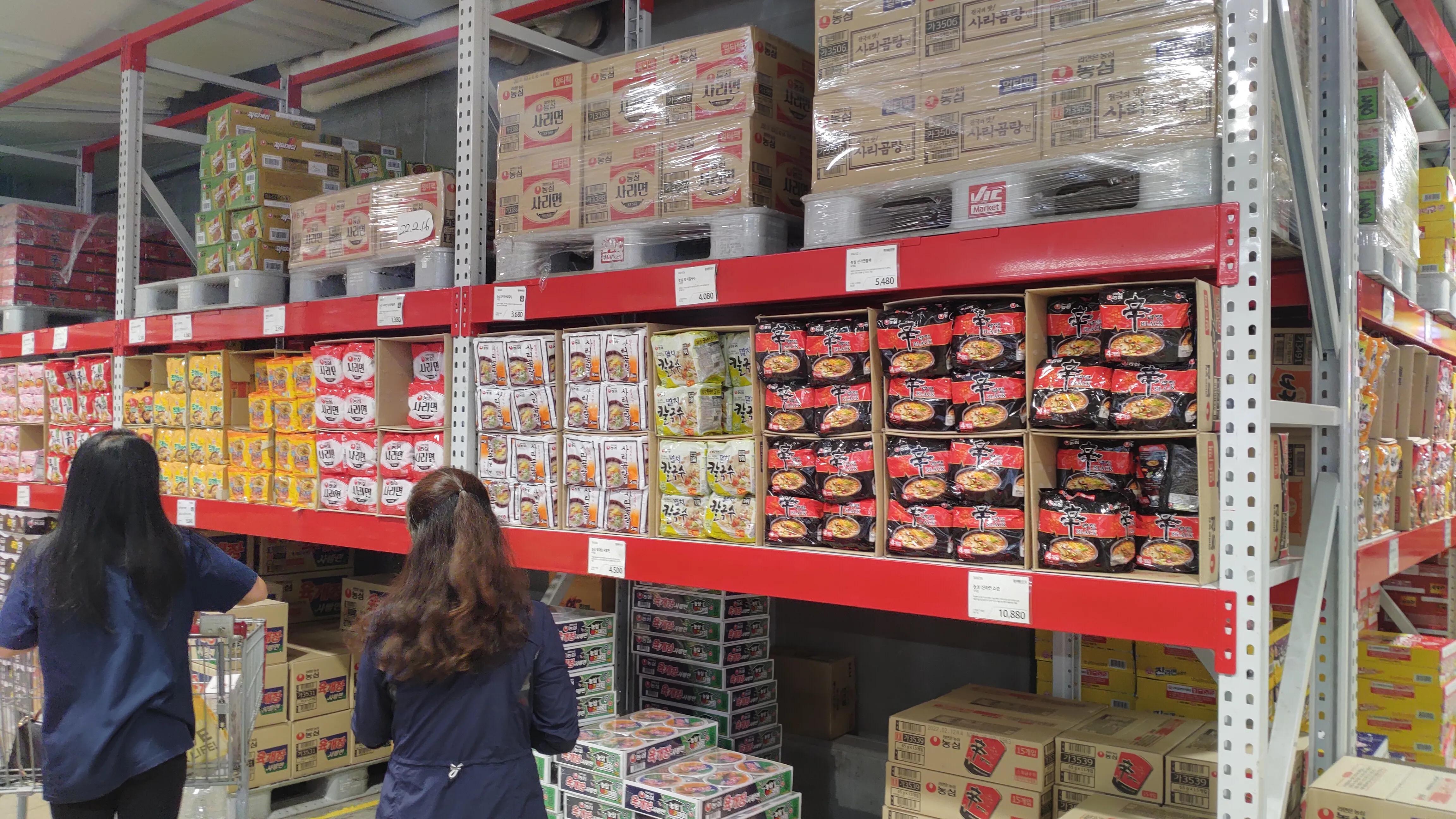 首尔layered咖啡,首尔很多萨摩耶的地方