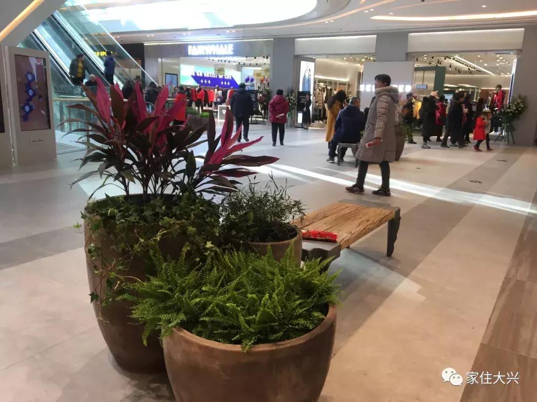 大兴凯德mall最近活动,大兴凯德mall商场