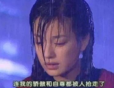 国内高分电视剧的英文名,电视剧经典英文名