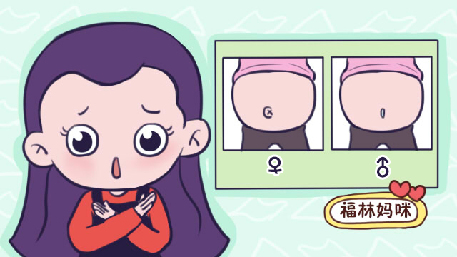 上怀是什么下怀是什么,上怀是前怀还是后怀