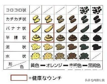 日本科学家的研究结果,日本科学家发明的实验