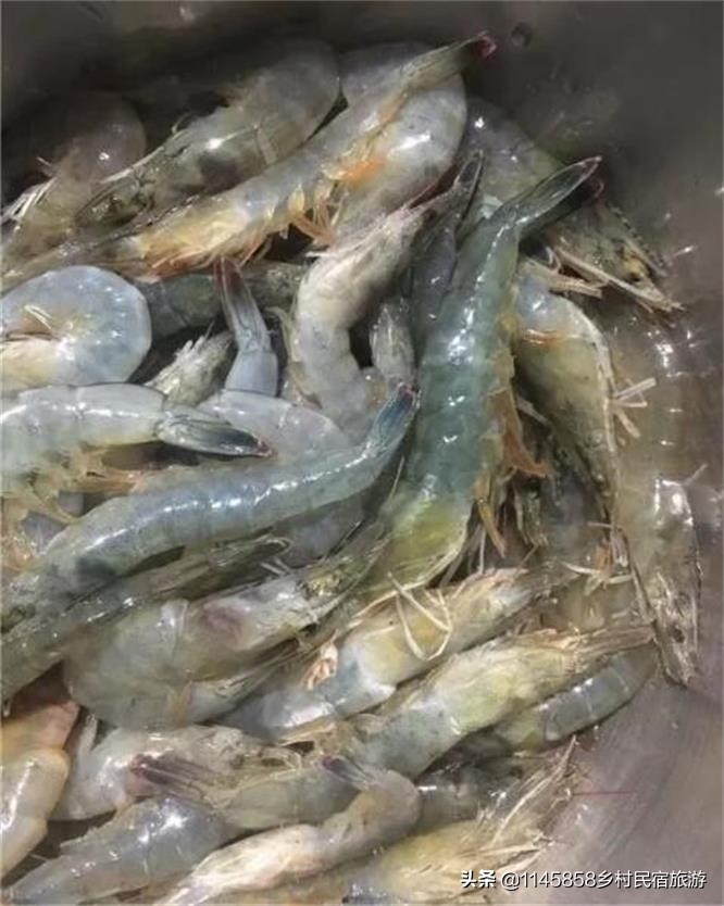 乐亭附近遛娃,乐亭遛娃好去处