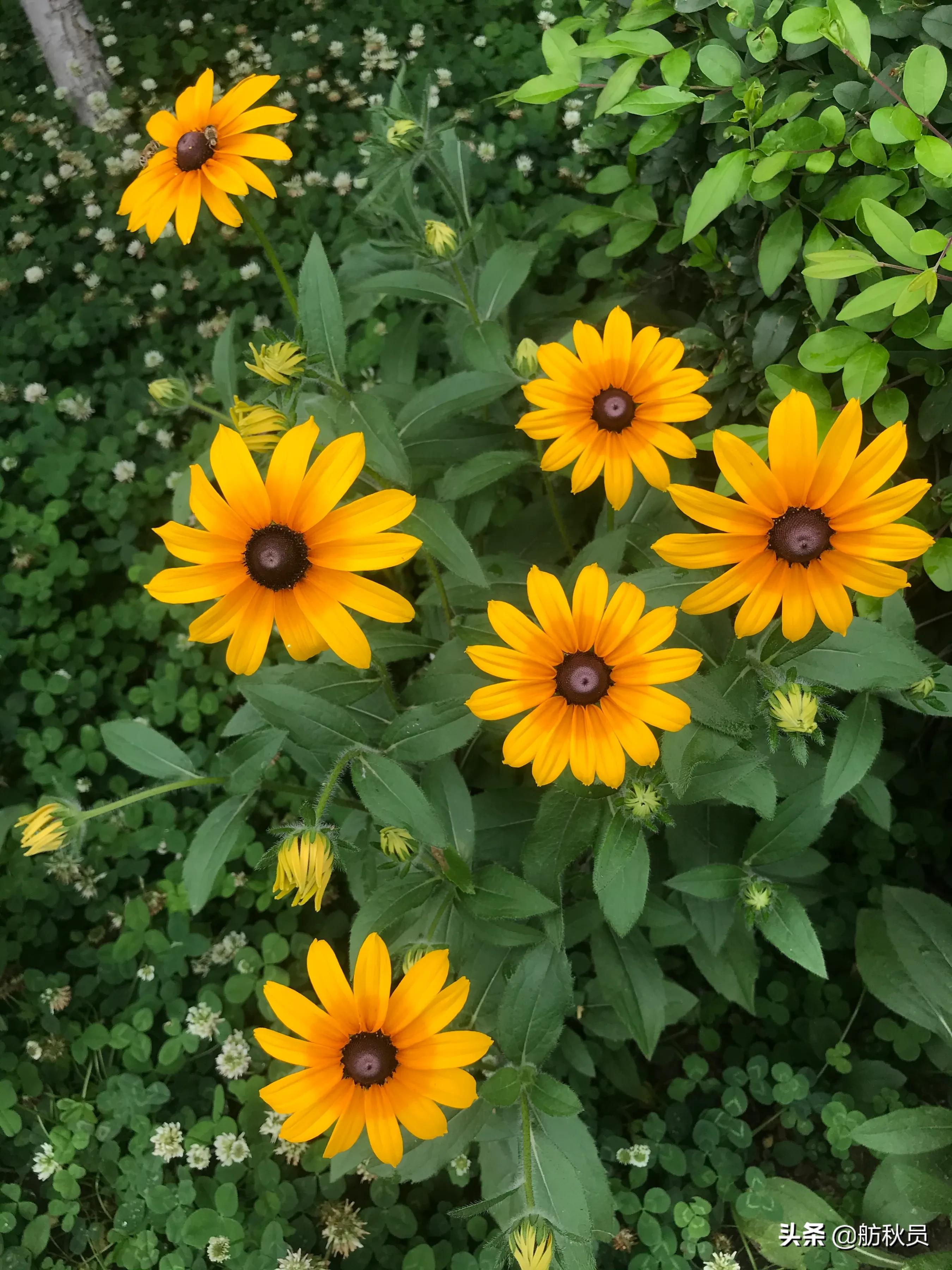 2024高考语文文言文重点字词,2021高考文言文必背高频词汇