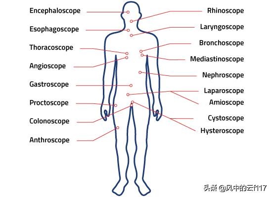 中国厂商豪威,中国自主芯片有哪些上市公司