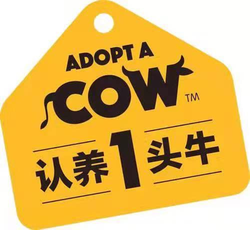 认养一头牛真的能认养吗视频,认养一头牛成功秘诀