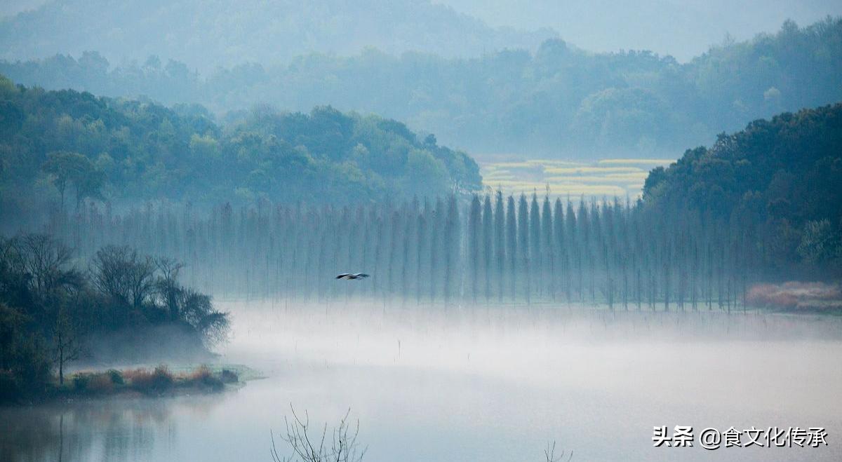 吃馄饨吃到爽是什么体验,吃馄饨最高境界