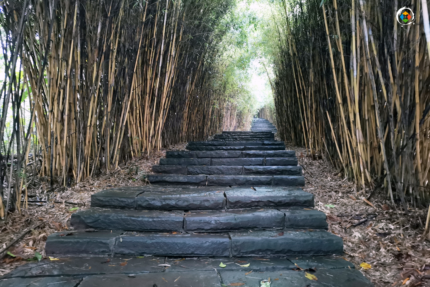 重庆大学城哪个大学风景好,重庆大学哪个区最好玩