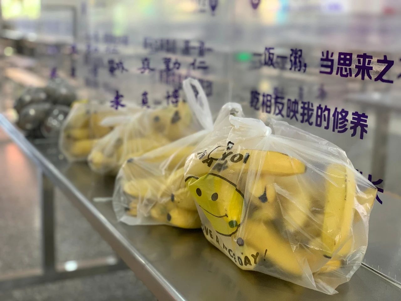 金中岱山教育集团,金中岱山东校区