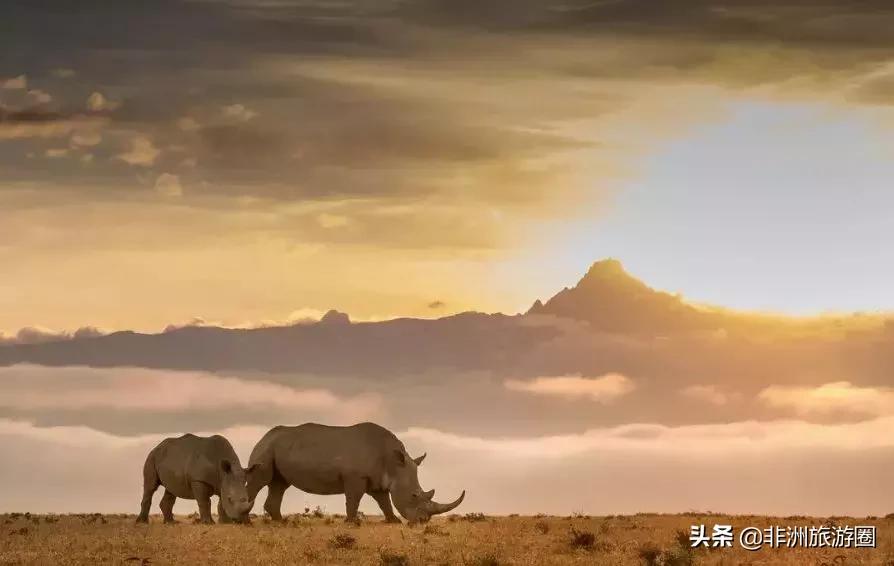 15个你不知道的颜色冷知识,10条你不知道的韩国冷知识