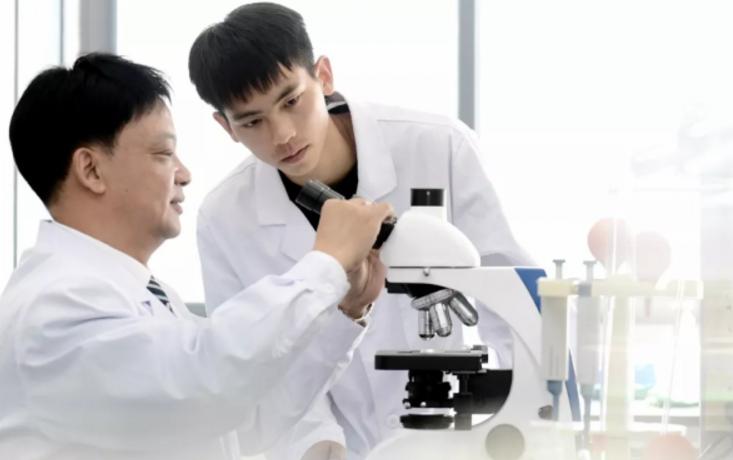 园林专业在所有专业中就业排名,好前景的大专专业推荐