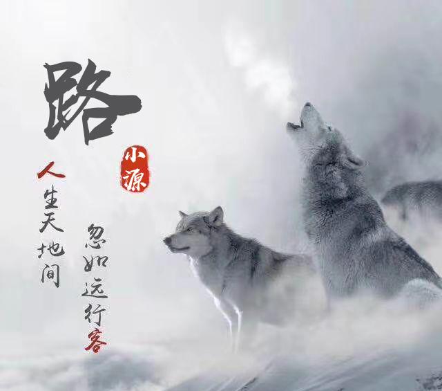 狼的格言看完让你受用终生,狼五十条格言