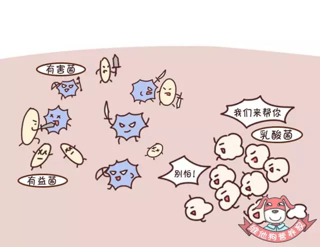 出远门失眠,出门出差便秘吃什么药才有效