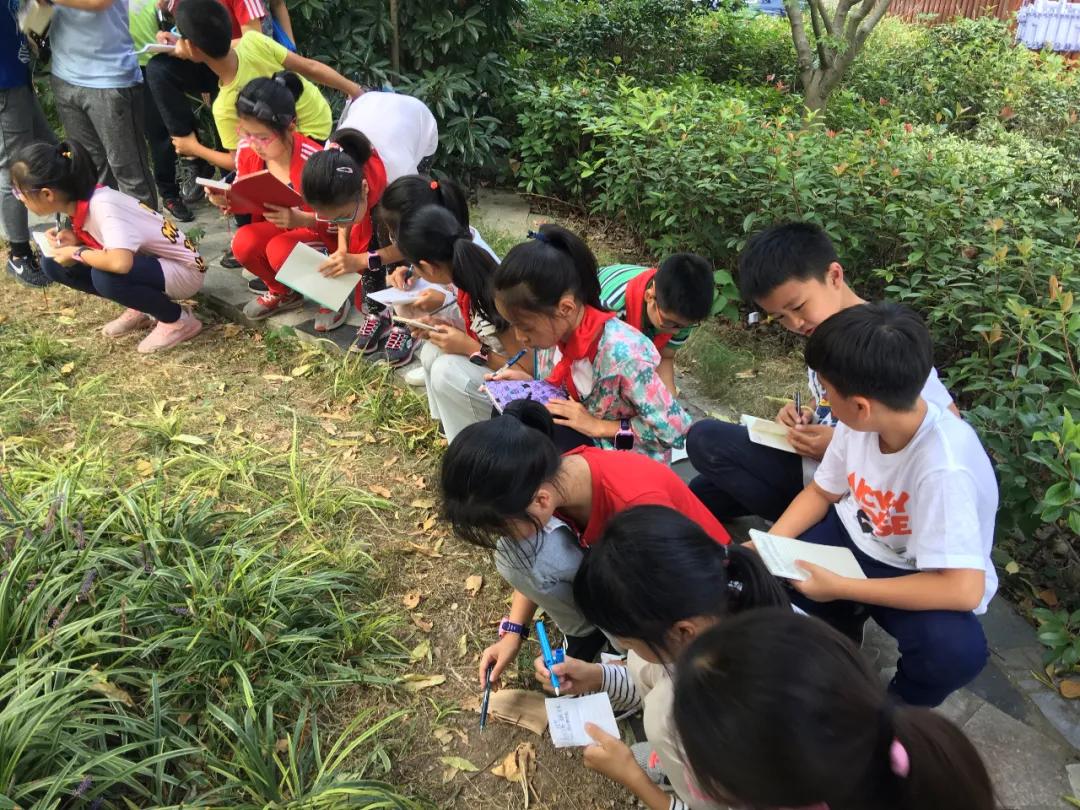 南京比较好的小学学校排名,南京名校小学最新排名