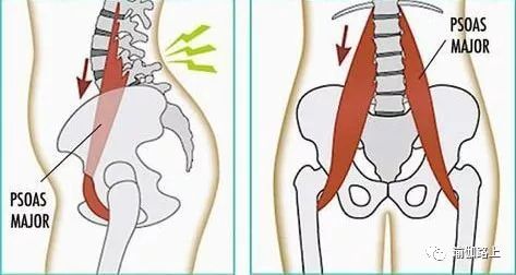 腰部瑜伽深度拉伸预防腰痛效果好,腰痛的拉伸方法之一髂腰肌拉伸