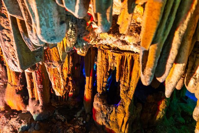 修德谷生态园,修德谷旅游基地