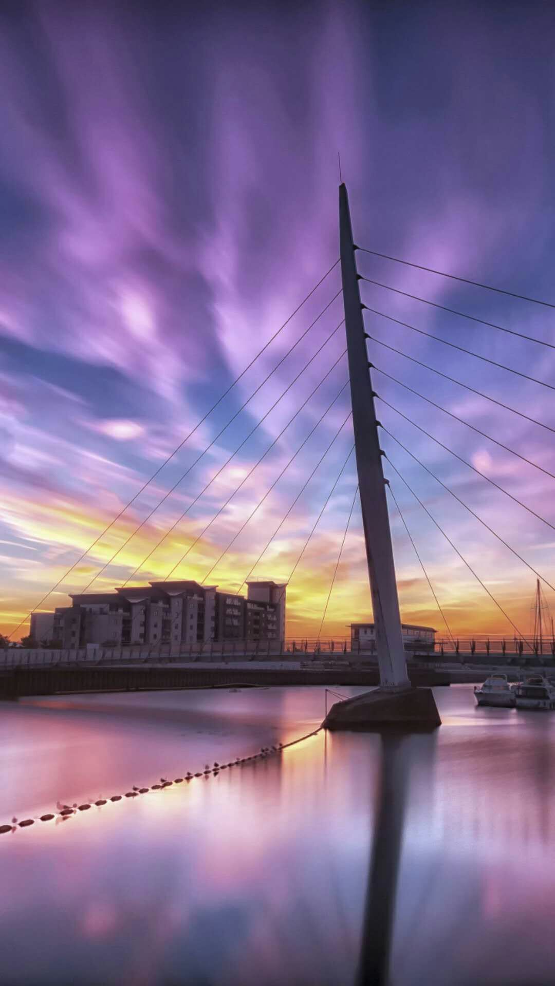 排比句100句优秀作文,运用排比句式的好作文