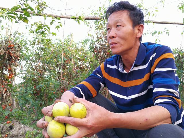 一个珠三角生态体验农庄的自救：捧着生态果蔬卖了个特价