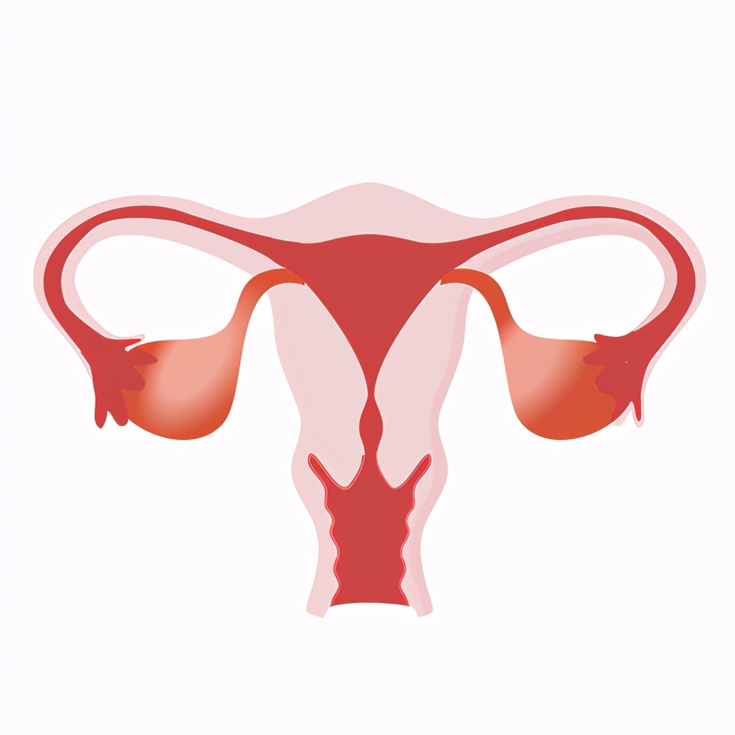 子宫肌瘤发病率有多高,子宫肌瘤的发病率有多少