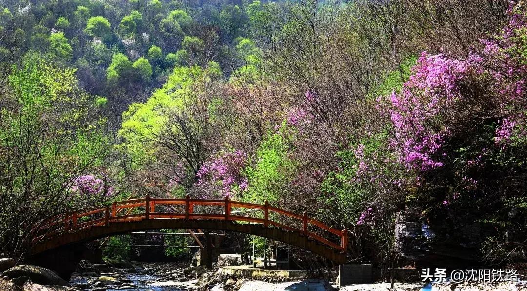 好消息常德迎来一条新铁路,好消息车票降价