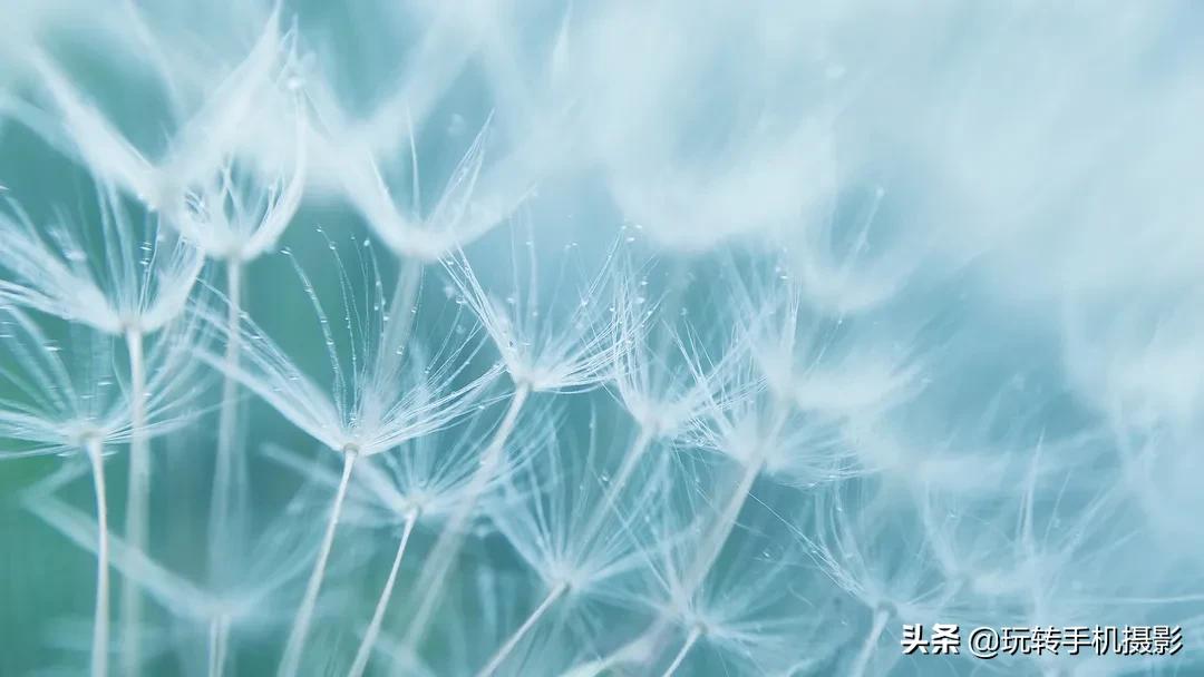 手机怎样拍照更好看而且清晰,手机拍照怎么让背景模糊人物清晰