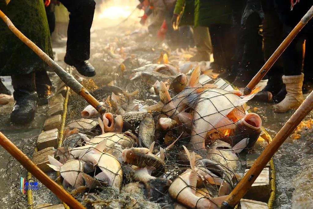 不忽悠！“拔草”这些小村屯才不辜负这个冬天