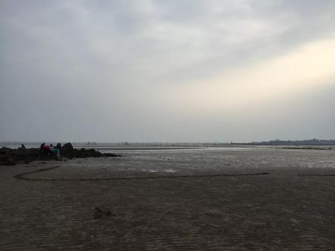 告别2019，迎来2020，在三娘湾与白海豚一起跨年